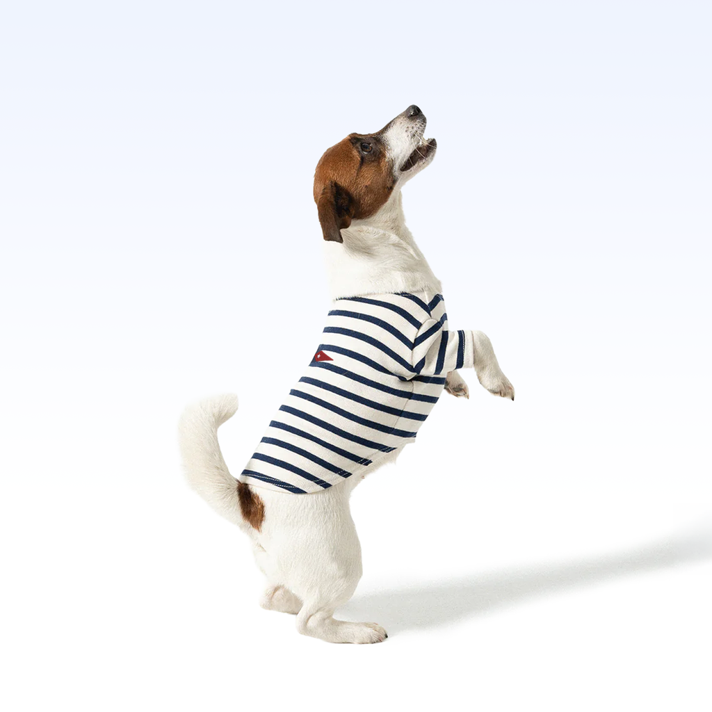 CAROLYC_PARISIAN PUP SHIRT