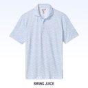 JMPO101130_SwingJuice